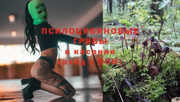 spice Арсеньев