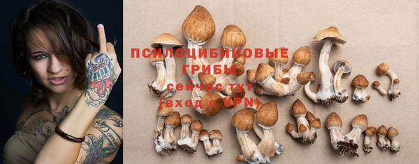 винт Балахна