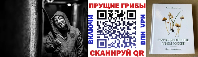 Псилоцибиновые грибы мицелий  Коряжма 