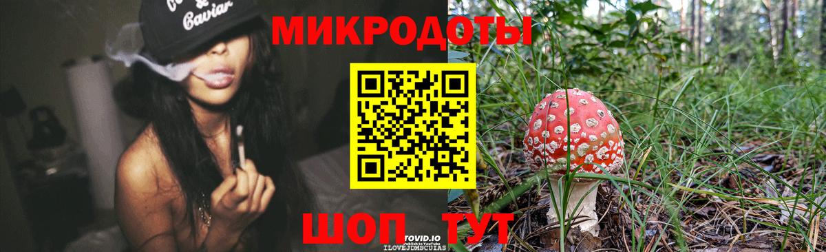 Псилоцибиновые грибы Cubensis Коряжма